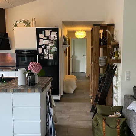 别墅 Hyggeligt Hus.