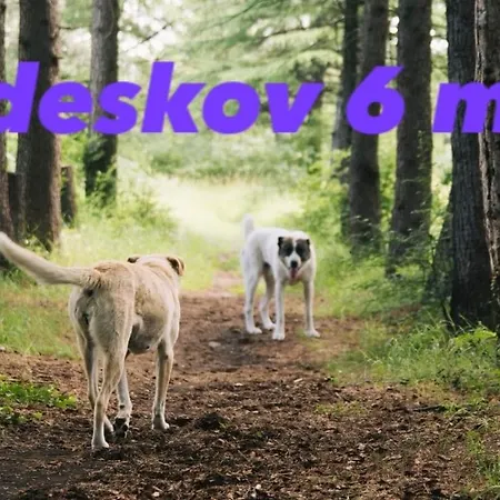 Hyggeligt Hus. 霍尔斯特布罗